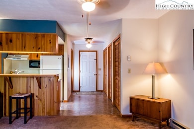 120 S Slope Loop unit 3, Banner Elk, NC 28604 - photo 7