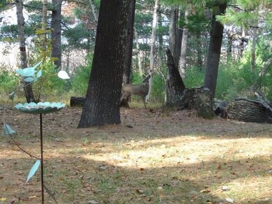 27355 Earl William Rd, Webster, WI 54893 - photo 5