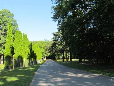 Road View