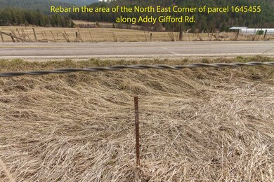 3000 BLK Addy-Gifford Rd, Gifford, WA 99131 - photo 3