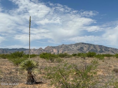 TBD Cochise Way unit 5-7, Cochise, AZ 85606 - photo 5