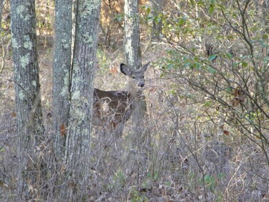 7 Briarcrest Dr, Lackawaxen Township, PA 18428 - photo 4