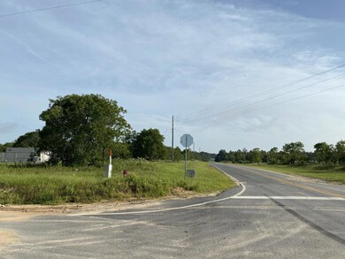 North View