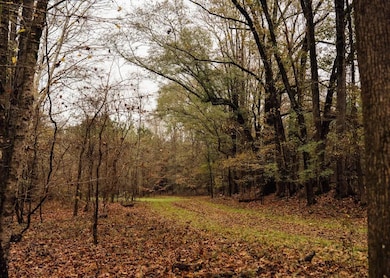 Black Jack Rd, Benton, MS 39039 - photo 3