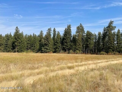 NKA-1 Bill Morris Rd, Plummer, ID 83851 - photo 5