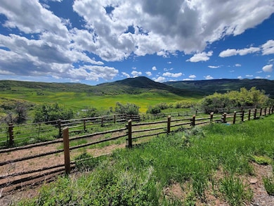 6645 64 6 10 Rd, Collbran, CO 81624 - photo 7