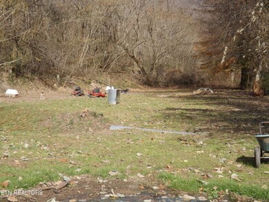 85 Bairds Ln, Evarts, KY 40828 - photo 6