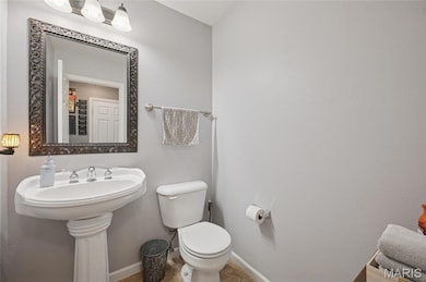 2307 Garden Ln, Festus, MO 63028 - photo 4