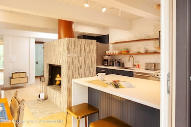 1039 E Cooper Ave unit 16A, Aspen, CO 81611 - photo 6