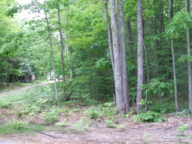 236 E Old Alfred Rd, Hollis Center, ME 04042 - photo 2