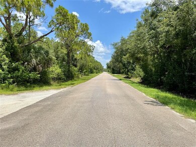 27282 Treadmill Dr, Punta Gorda, FL 33955 - photo 7