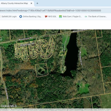 783 Woodstock Rd unit 101, East Berne, NY 12059 - photo 4