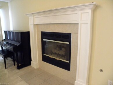 Gas fireplace in the living room
