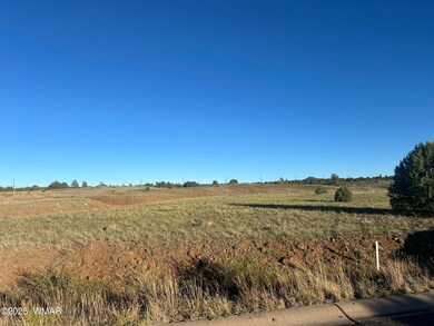 1081 S Ridgeway Place, Show Low, AZ 85901 - photo 2