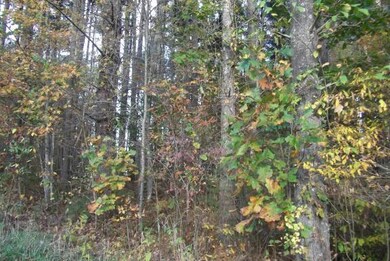 Kovach (2)