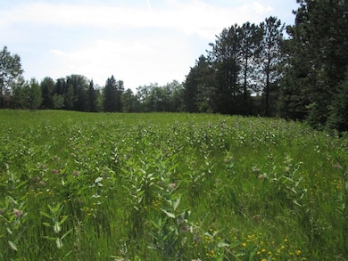 ON Peninsula Dr, Phillips, WI 54555 - photo 7