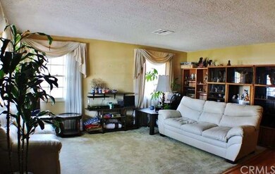 Large Living Room