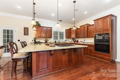 16614 Ruby Hill Place, Charlotte, NC 28278 - photo 7