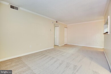 15508 Horseshoe Ln unit 508, Woodbridge, VA 22191 - photo 7