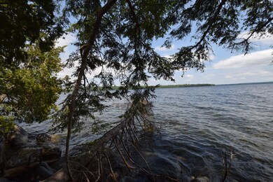 Spring fed cold water fishery...