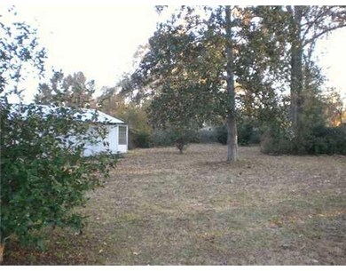 Backyard.