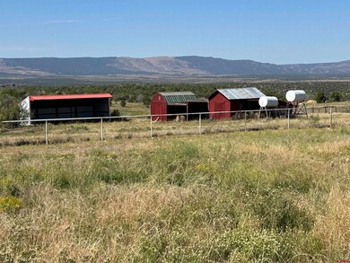 32116 Highway 145, Redvale, CO 81431 - photo 5