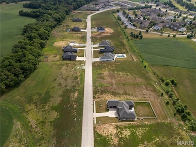 589 Legacy Dr, Waterloo, IL 62298 - photo 4