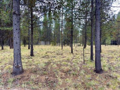 caribou 5