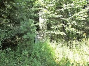 Lot 00 Sackett Creek Rd, Nichols, NY 13812 - photo 2