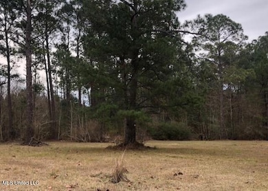 15654 Walter Smith Rd, Gulfport, MS 39503 - photo 2