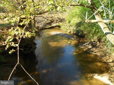 7311 Crooked Run Ln, Culpeper, VA 22701 - photo 4