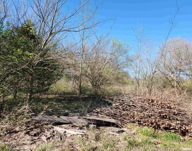 1300 N Tolle Ln, Mount Vernon, IL - photo 5