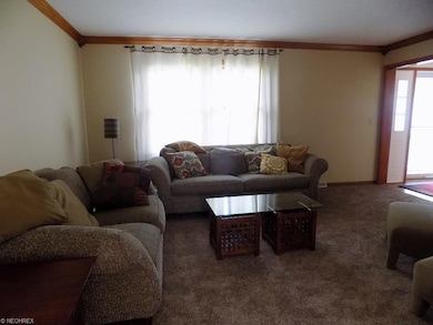 Spacious living room , new carpet