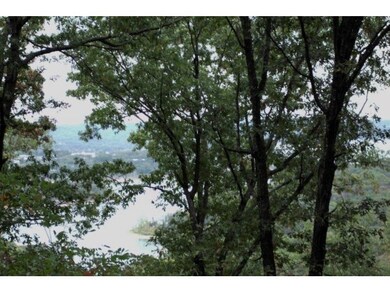 Lot 9 Plateau Ln, Kimberling City, MO 65686 - photo 2