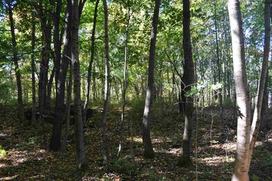 49 Fairview Dr unit 24-1, Pittsfield, NH 03263 - photo 7