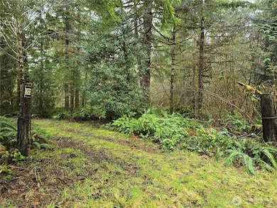 0 Lot 1&2 W Elk Hill Rd, Elma, WA 98541 - photo 4