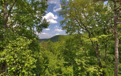 Additional View