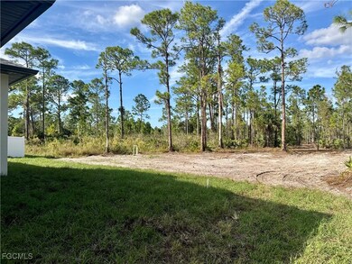 3461 43rd Ave NE, Naples, FL 34120 - photo 7