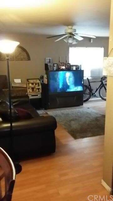 Let's watch a little TV!