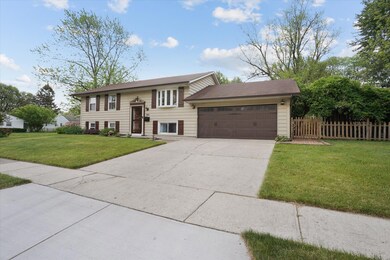 41-DSC06544