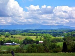 Veiw From Property