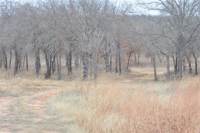 Lot 207 Bishop Dr, Weatherford, TX 76088 - photo 6