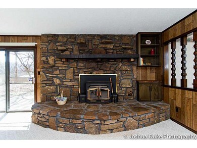 Other. Fireplace Insert