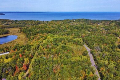 Harbor Dr, Garrison, MN 56450 - photo 5