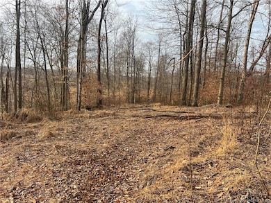 0 Hwy 135 unit Tract 2 2025011289, New Salisbury, IN 47161 - photo 5