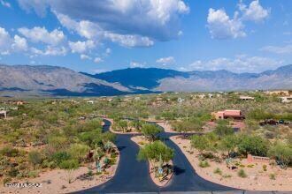 coyote-creek-2020-5