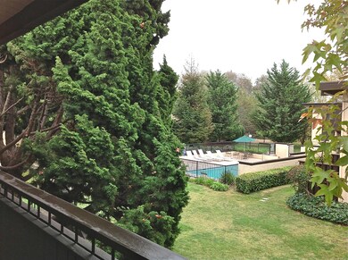 Sunny Pool & Lounge Chairs