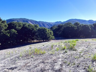 7 Holding Field Run, Carmel, CA 93923 - photo 7