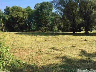 999999 Riverland Dr, Sugar Loaf Township, AR 72543 - photo 4