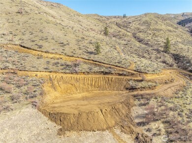 229 Juniper (Lot 2) Ln, Monitor, WA 98836 - photo 7